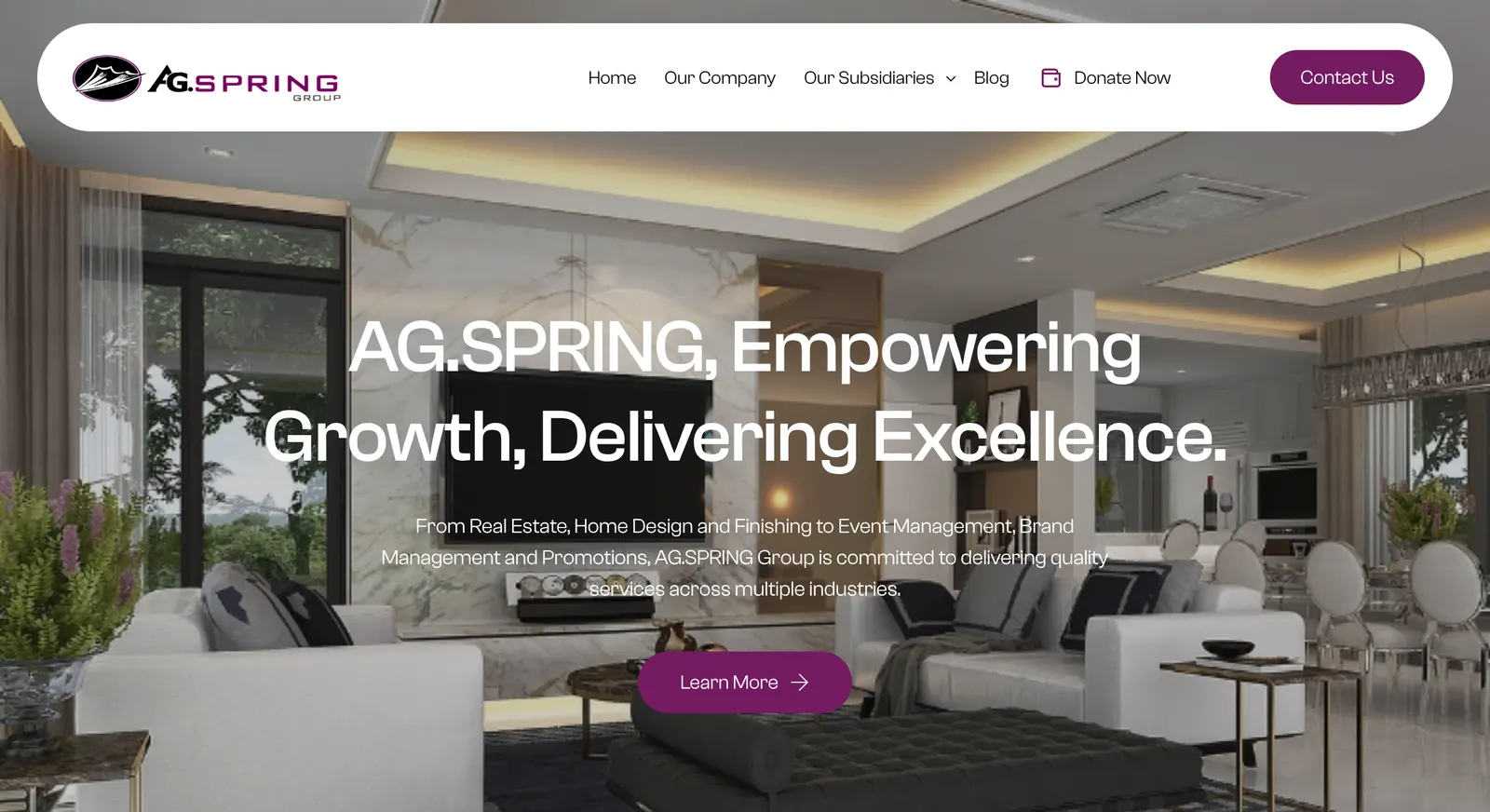AG.Spring Group website: homepage
