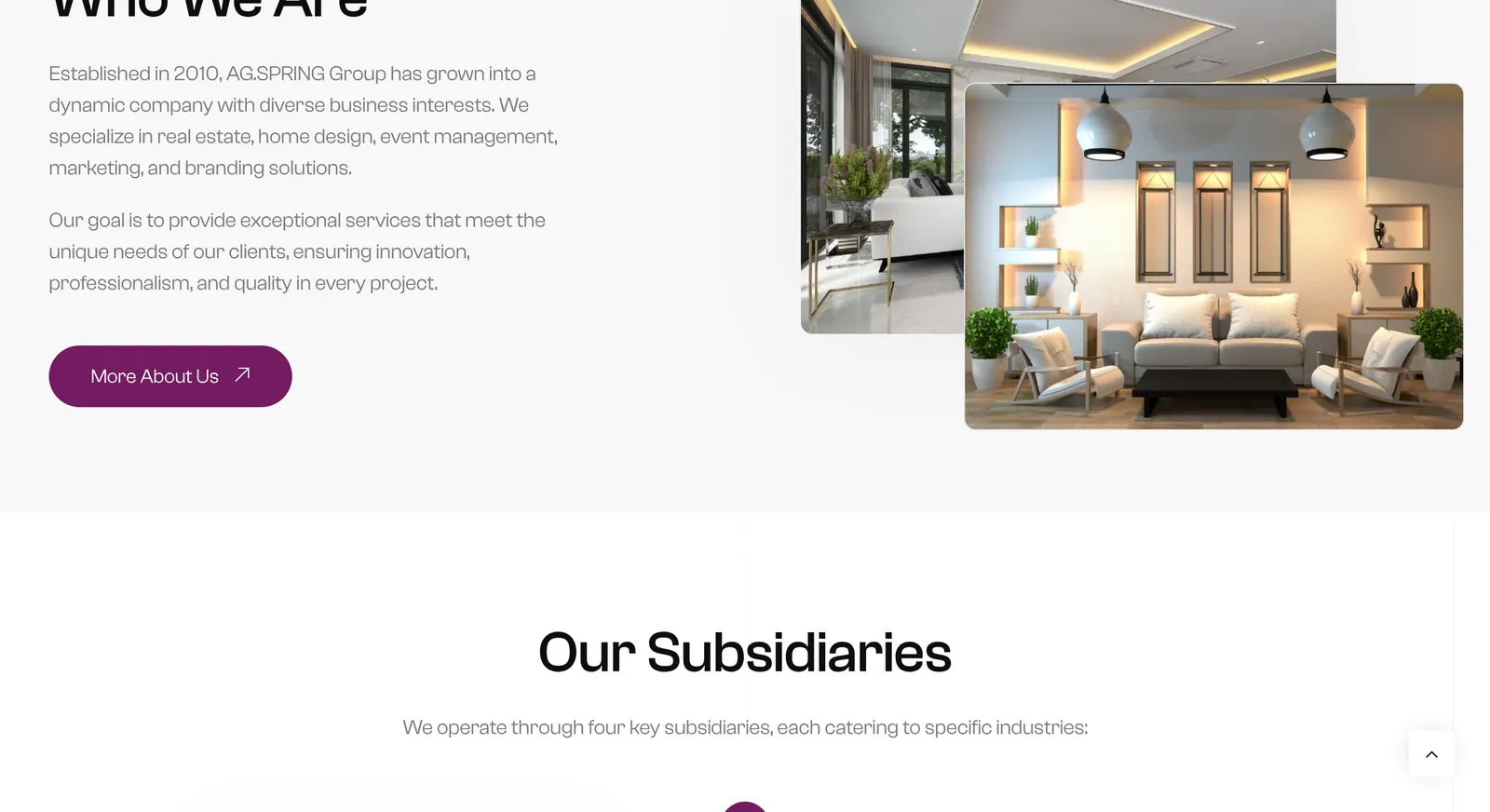 AG.Spring Group website: subsidiaries
