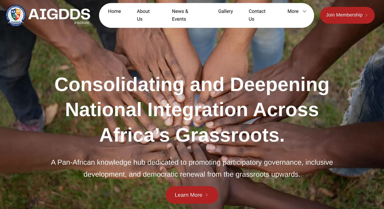 AIGDDS Institute website: homepage