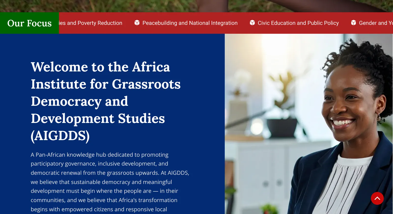 AIGDDS Institute website: focus areas and welcome