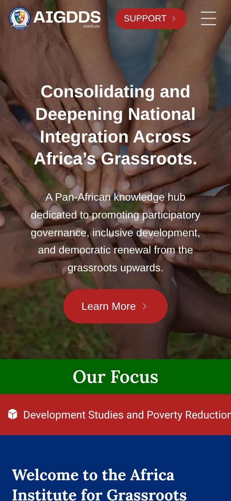 AIGDDS Institute on a phone: mobile homepage